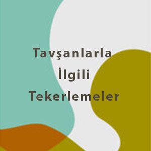 tavşanlarla ilgili tekerlemeler