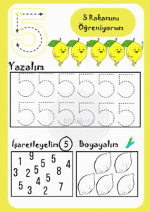 beş rakamı etkinlikleri