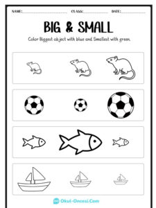 big or small worksheet kavram çalışması