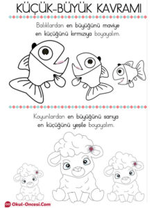 büyük küçük balık kavramlar