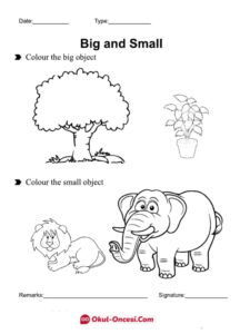 büyük küçük kavram çalışma sayfası