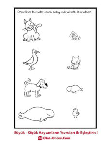 büyük küçük hayvanların yavru eşleştirme aktivitesi